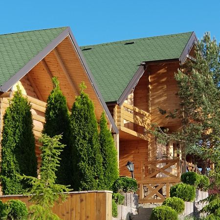Vila Brvnare Bor Zlatibor Exteriér fotografie
