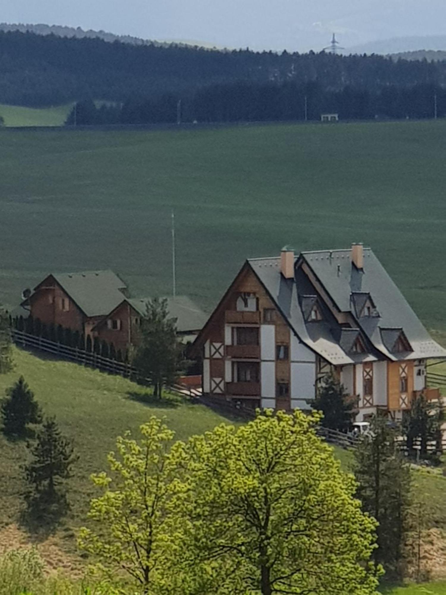 Vila Brvnare Bor Zlatibor Exteriér fotografie